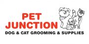 $5.00 off dog or cat grooming