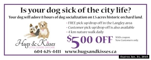 Dog Day Care at Hugs &amp; Kisses Little Doggy Day Care - Shopping ...